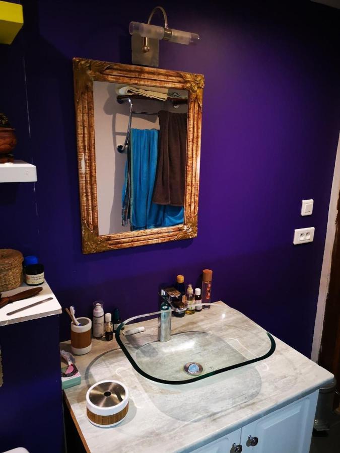 Maison Atypique A Cordes-Sur-Ciel 2 Chambres 外观 照片